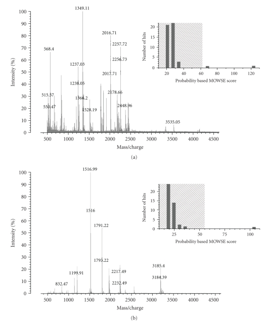 Human coronary artery smooth muscle cell responses to bioactive polyelectrolyte multilayer interfaces.