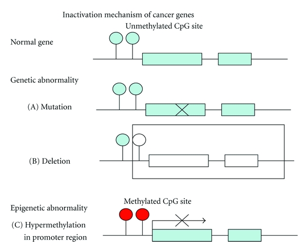 Relationship between DNA Mismatch Repair Deficiency and Endometrial Cancer.