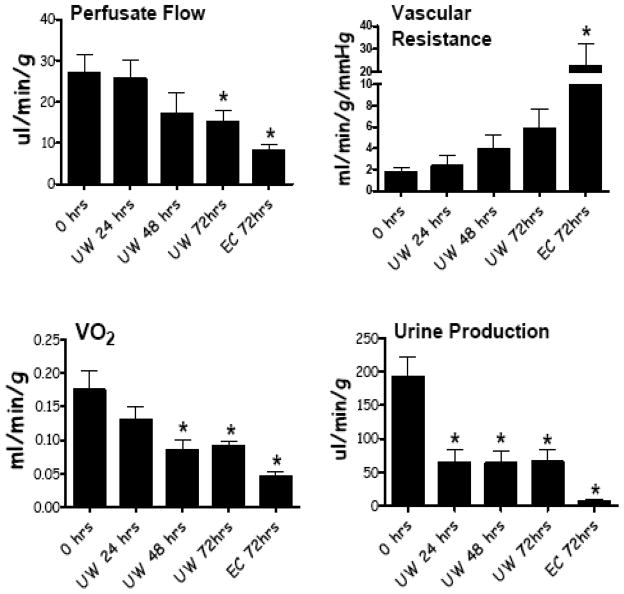 Mouse IPK: A Powerful Tool to Partially Characterize Renal Reperfusion and Preservation Injury.