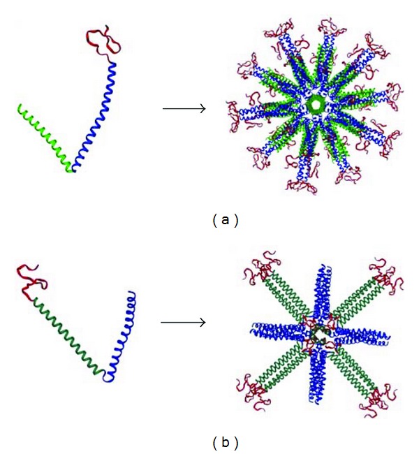 A Novel Vaccine Using Nanoparticle Platform to Present Immunogenic M2e against Avian Influenza Infection.