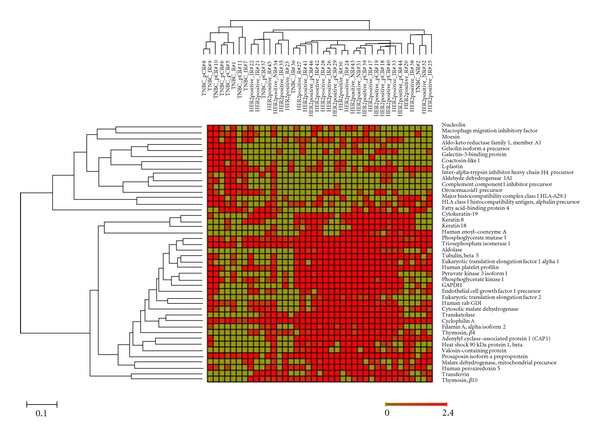 Proteomic-based biosignatures in breast cancer classification and prediction of therapeutic response.