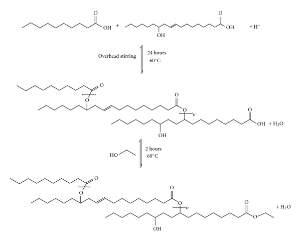 Synthesis and physical properties of estolide ester using saturated Fatty Acid and ricinoleic Acid.