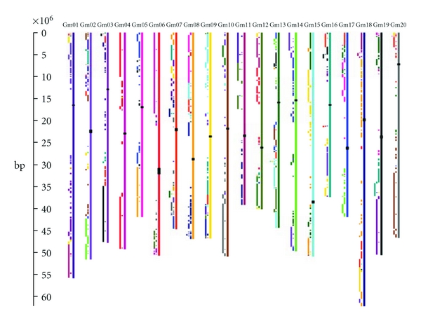 Chromosome visualization tool: a whole genome viewer.