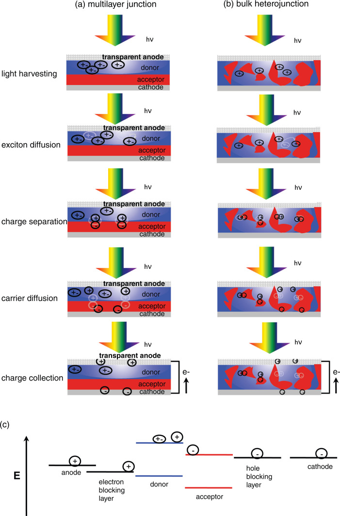 Nanoscale structure, dynamics and power conversion efficiency correlations in small molecule and oligomer-based photovoltaic devices.