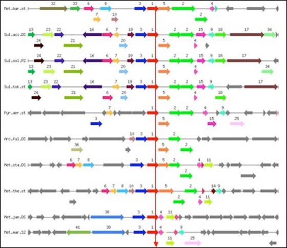 Role of Shwachman-Bodian-Diamond syndrome protein in translation machinery and cell chemotaxis: a comparative genomics approach.