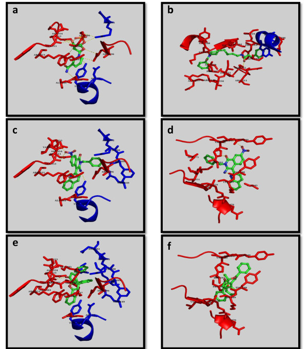 Virtual screening, identification and experimental testing of novel inhibitors of PBEF1/Visfatin/NMPRTase for glioma therapy.