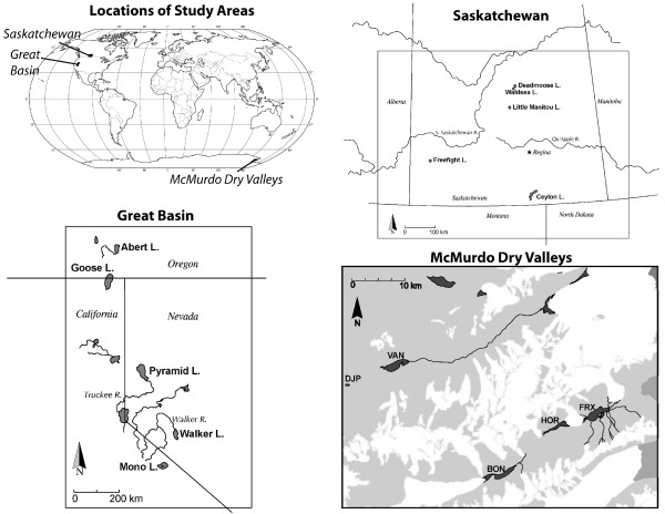 The fate of minor alkali elements in the chemical evolution of salt lakes.