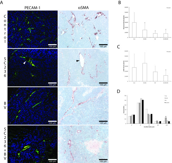 Inhibition of cyclo-oxygenase 2 reduces tumor metastasis and inflammatory signaling during blockade of vascular endothelial growth factor.