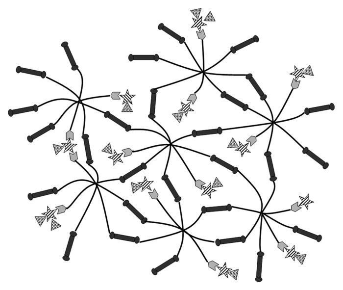 Development of affinity-based delivery of NGF from a chondroitin sulfate biomaterial.