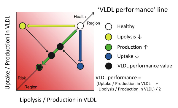 Diagnostic markers based on a computational model of lipoprotein metabolism.