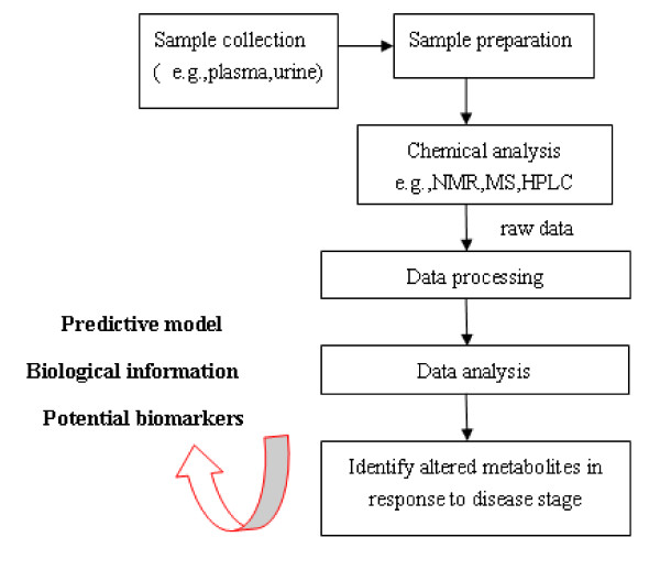 Metabonomics-based omics study and atherosclerosis.