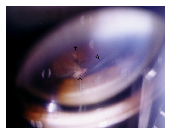 Abstract Image