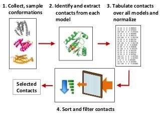 A conformation ensemble approach to protein residue-residue contact