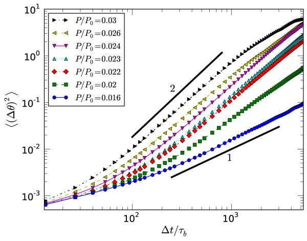 Spindles and active vortices in a model of confined filament-motor mixtures.