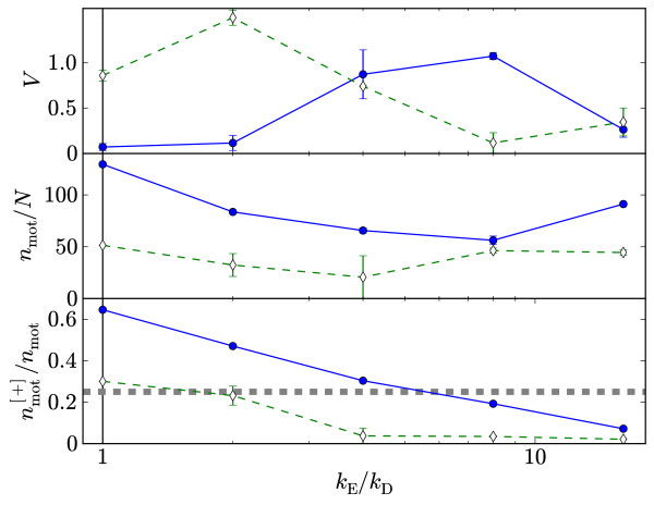 Spindles and active vortices in a model of confined filament-motor mixtures.