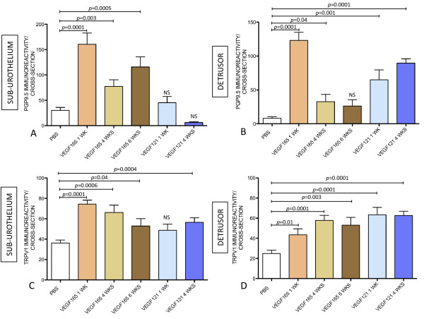 VEGF signaling mediates bladder neuroplasticity and inflammation in response to BCG.