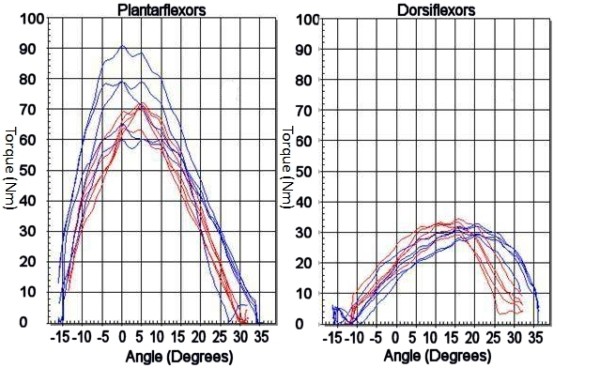 Clinical and biomechanical outcome of minimal invasive and open repair of the Achilles tendon.