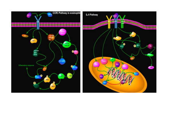 Significance of bioinformatics in research of chronic obstructive pulmonary disease.