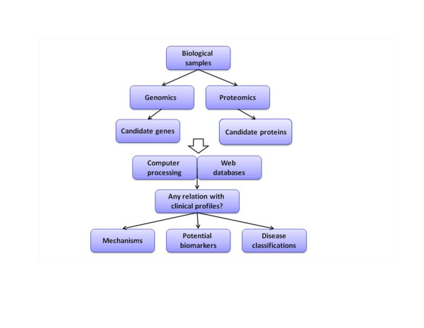 Significance of bioinformatics in research of chronic obstructive pulmonary disease.