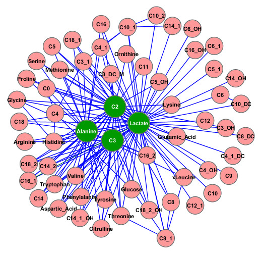 Profiling the human response to physical exercise: a computational strategy for the identification and kinetic analysis of metabolic biomarkers.