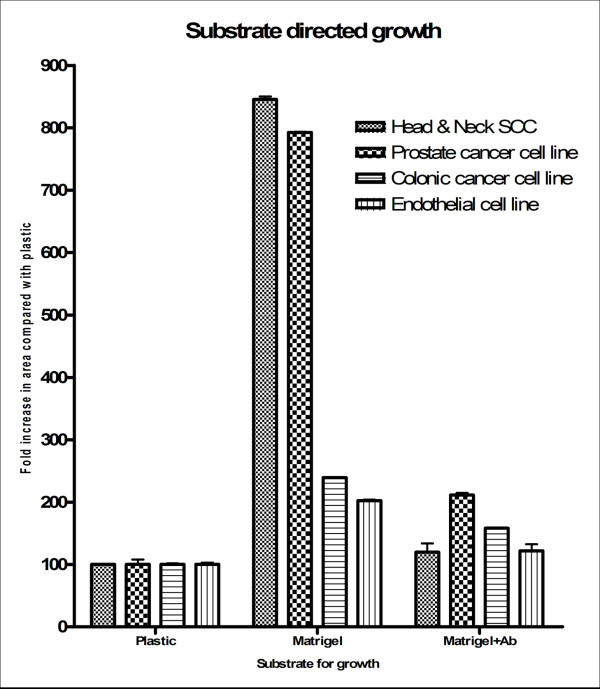 Vascular mimicry in cultured head and neck tumour cell lines.