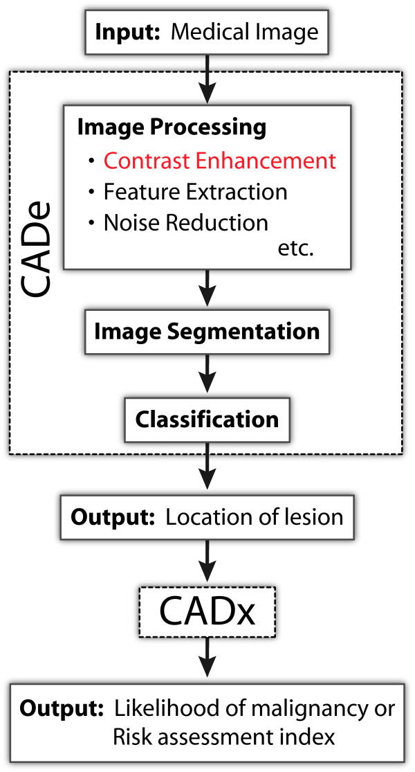 Mathematical morphology-based approach to the enhancement of morphological features in medical images.