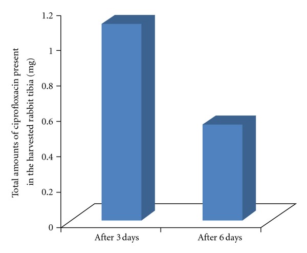 In vivo ciprofloxacin release from hydroxyapatite-based bone implants in rabbit tibia: a preliminary study.