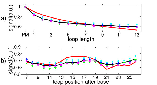 Stability of double-stranded oligonucleotide DNA with a bulged loop: a microarray study.