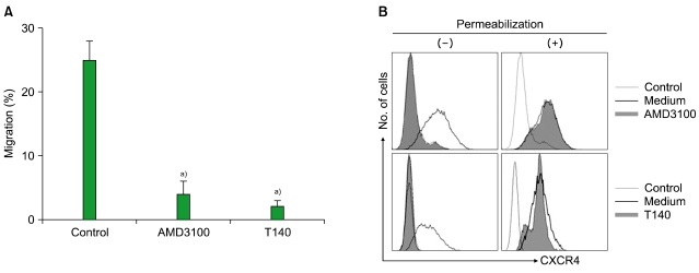 Differential effects of CXCR4 antagonists on the survival and proliferation of myeloid leukemia cells in vitro.