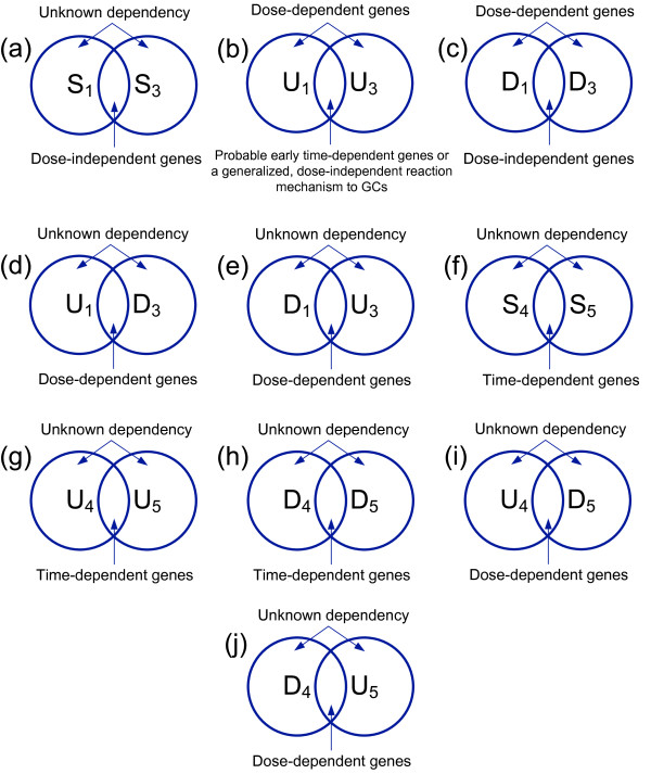 Elucidating the identity of resistance mechanisms to prednisolone exposure in acute lymphoblastic leukemia cells through transcriptomic analysis: A computational approach.