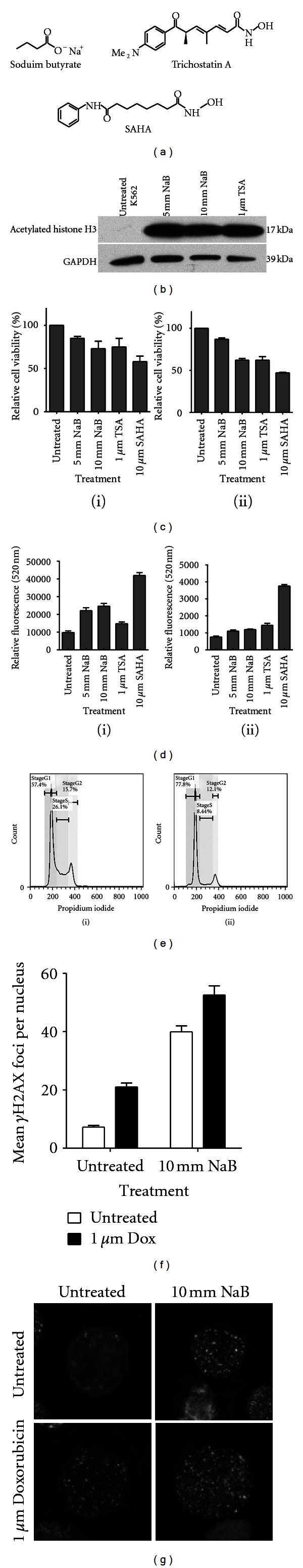 Histone deacetylase inhibition and dietary short-chain Fatty acids.