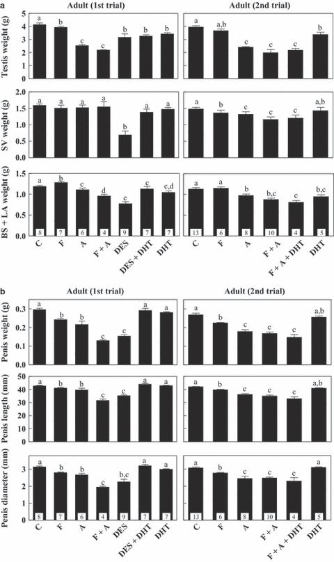 Exposure of neonatal rats to anti-androgens induces penile mal-developments and infertility comparable to those induced by oestrogens