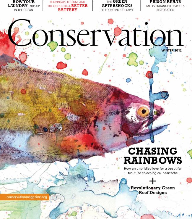 Conservation Magazine, Winter 2011