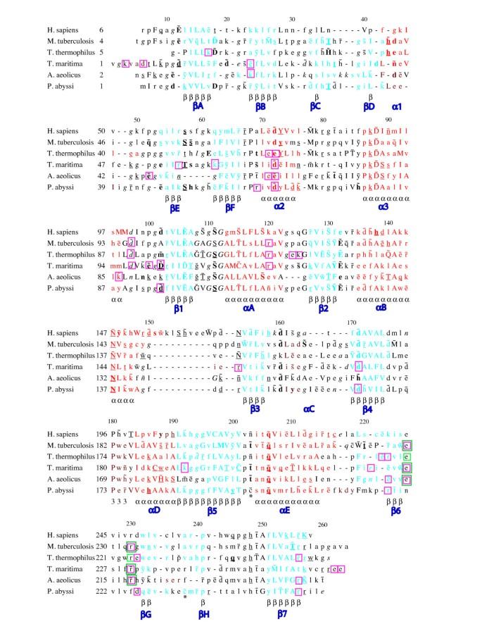 Structural comparison of tRNA m1A58 methyltransferases revealed different molecular strategies to maintain their oligomeric architecture under extreme conditions