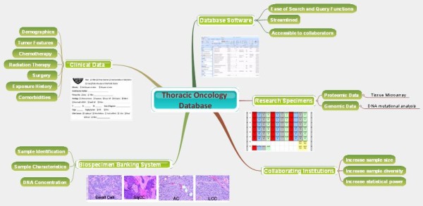 Proteomic characterization of non-small cell lung cancer in a comprehensive translational thoracic oncology database.