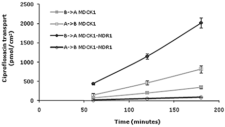 Is Ciprofloxacin a Substrate of P-glycoprotein?