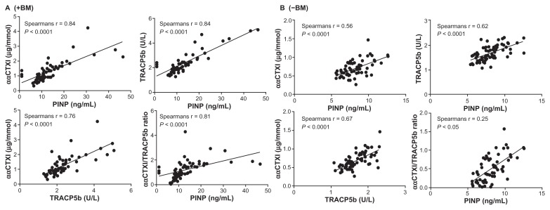 Serum N-Terminal Propeptide of Collagen Type I is Associated with the Number of Bone Metastases in Breast and Prostate Cancer and Correlates to Other Bone Related Markers.