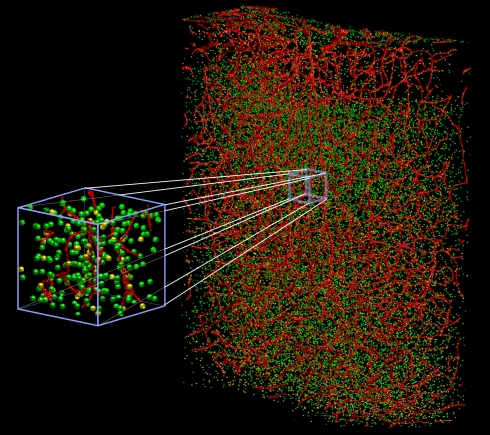 A guide to delineate the logic of neurovascular signaling in the brain.