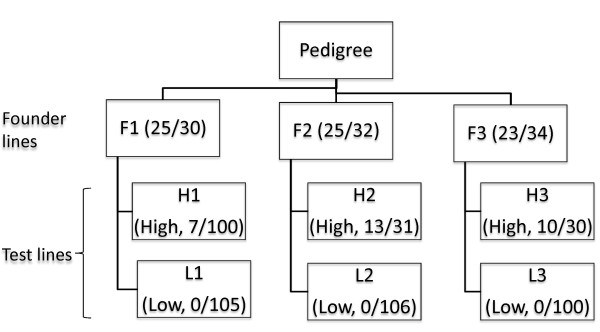 Assessment of genome integrity with array CGH in cattle transgenic cell lines produced by homologous recombination and somatic cell cloning.