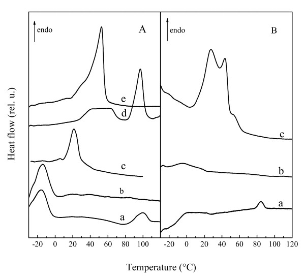 Thermotropic phase behavior and headgroup interactions of the nonbilayer lipids phosphatidylethanolamine and monogalactosyldiacylglycerol in the dry state.