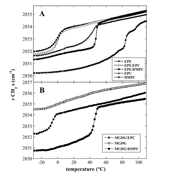 Thermotropic phase behavior and headgroup interactions of the nonbilayer lipids phosphatidylethanolamine and monogalactosyldiacylglycerol in the dry state.