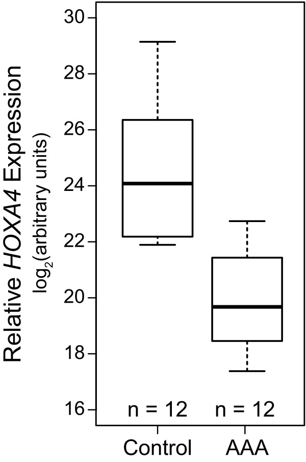 Regional expression of HOXA4 along the aorta and its potential role in human abdominal aortic aneurysms.