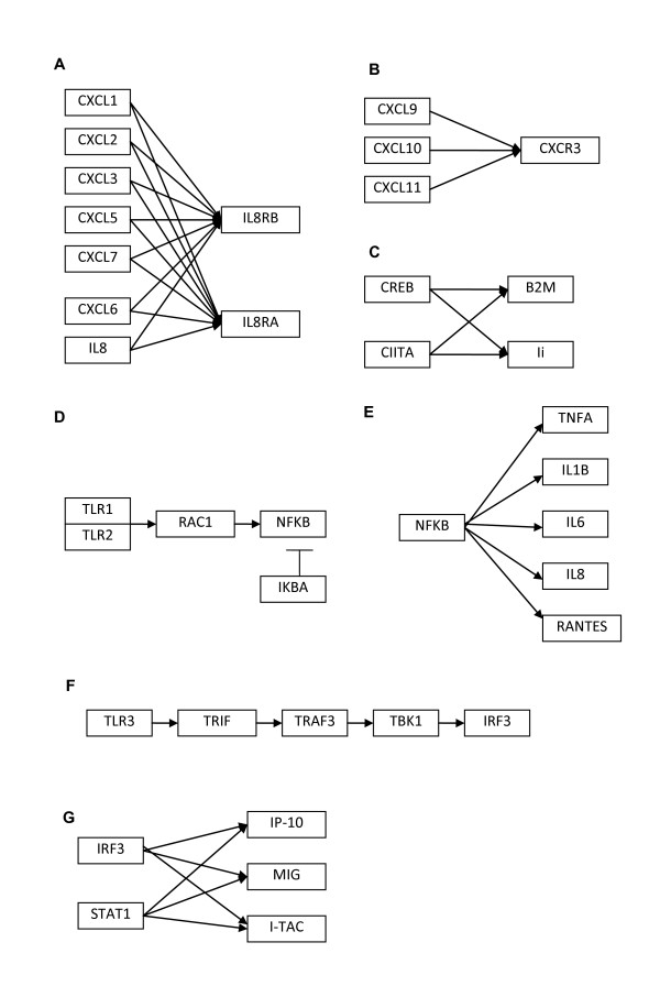 Insights gained from the reverse engineering of gene networks in keloid fibroblasts.