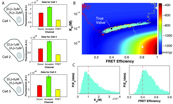 A Bayesian method for inferring quantitative information from FRET data.