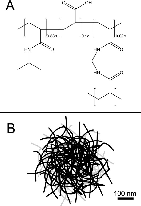 An upper limit for macromolecular crowding effects.