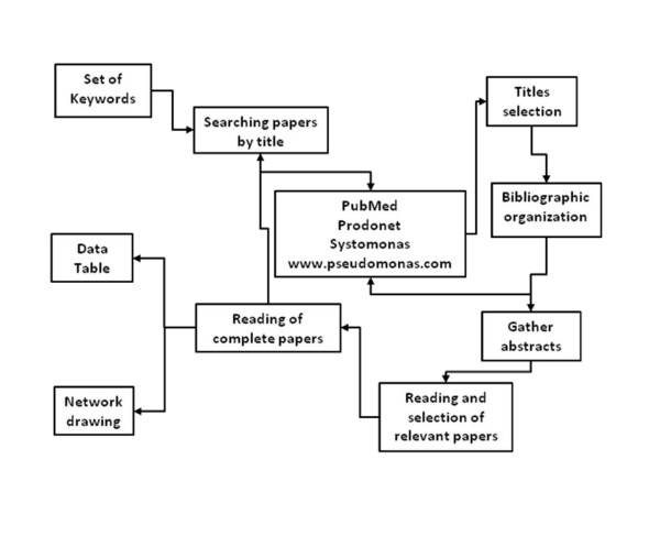 The Regulatory Network of Pseudomonas aeruginosa.