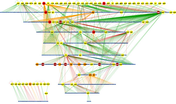 The Regulatory Network of Pseudomonas aeruginosa.