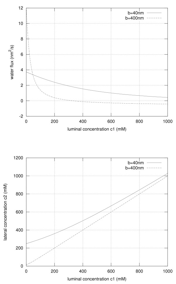 The function of 7D-cadherins: a mathematical model predicts physiological importance for water transport through simple epithelia.