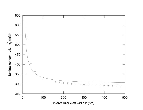 The function of 7D-cadherins: a mathematical model predicts physiological importance for water transport through simple epithelia.