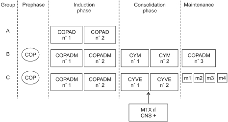 Treatment outcomes in children with Burkitt lymphoma and L3 acute lymphoblastic leukemia treated using the lymphoma malignancy B protocol at a single institution.